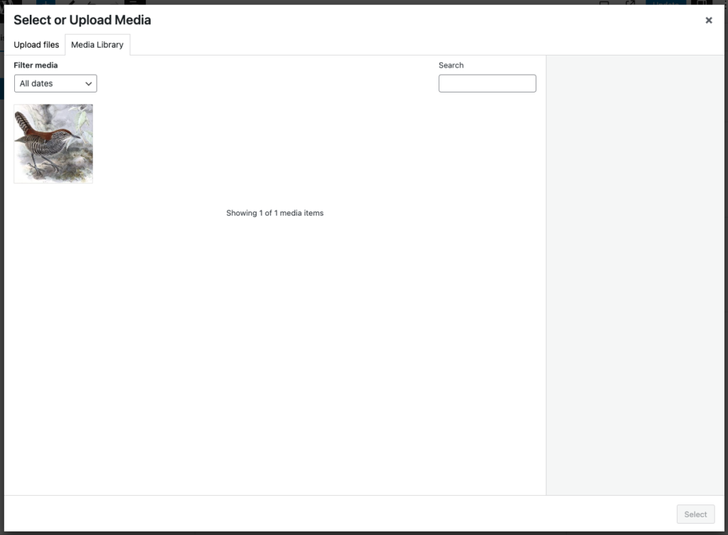 Screenshot of WordPress "add media" popup.