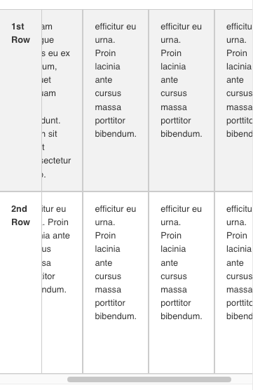 Preview ot table with scrolling past first column.